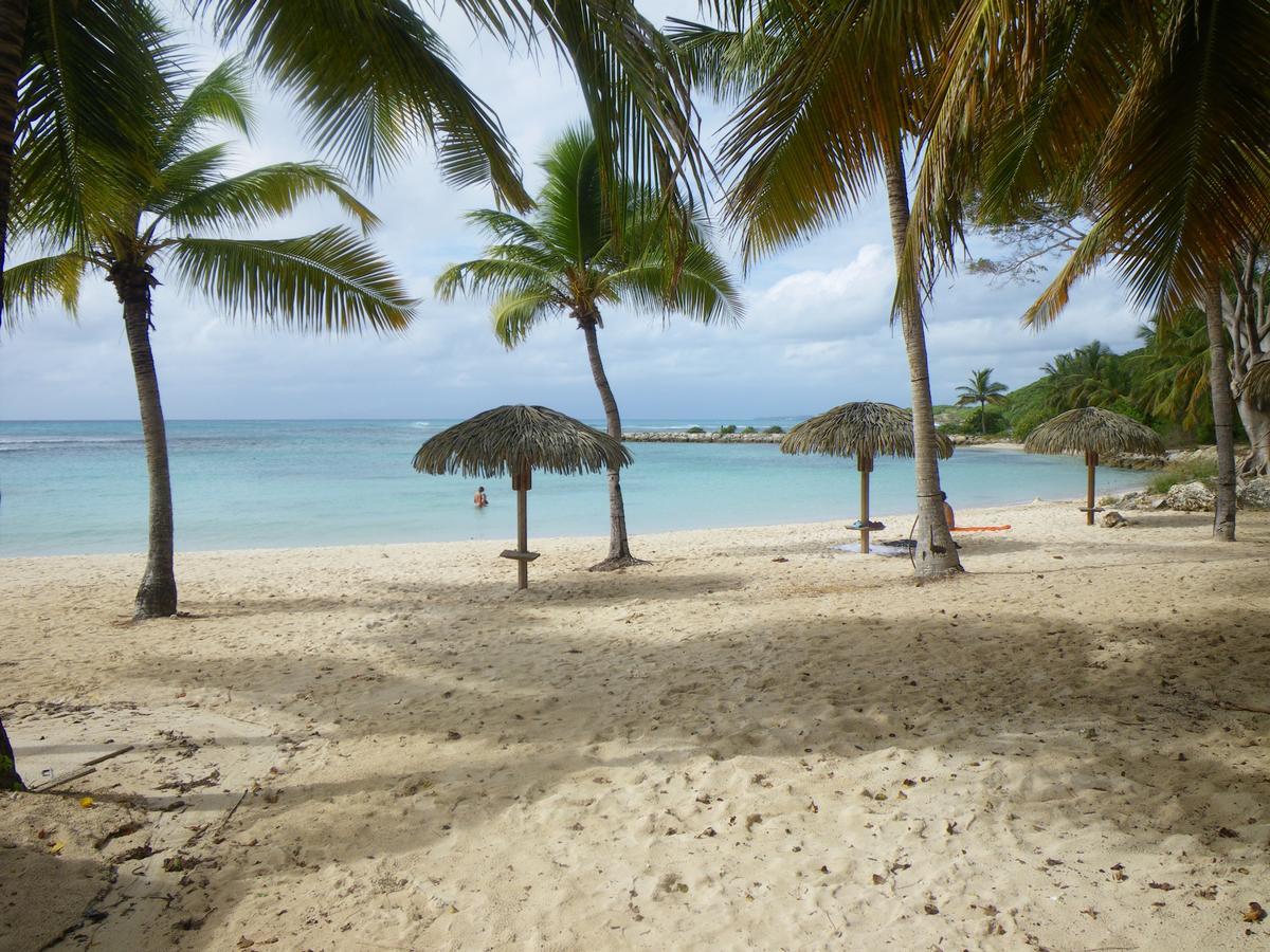 Cactus Anse Des Rochers Saint-Francois  Exterior foto